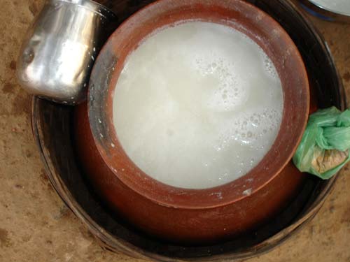 Apong- Rice beer, Arunachal Pradesh Food