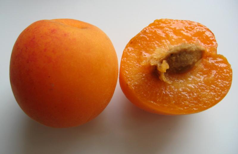 apricots