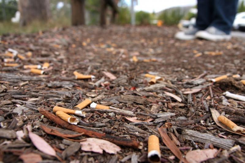 cigarette butts, ecotourism in India