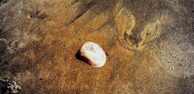 Trip To Henry's Island: White Sand Beauty