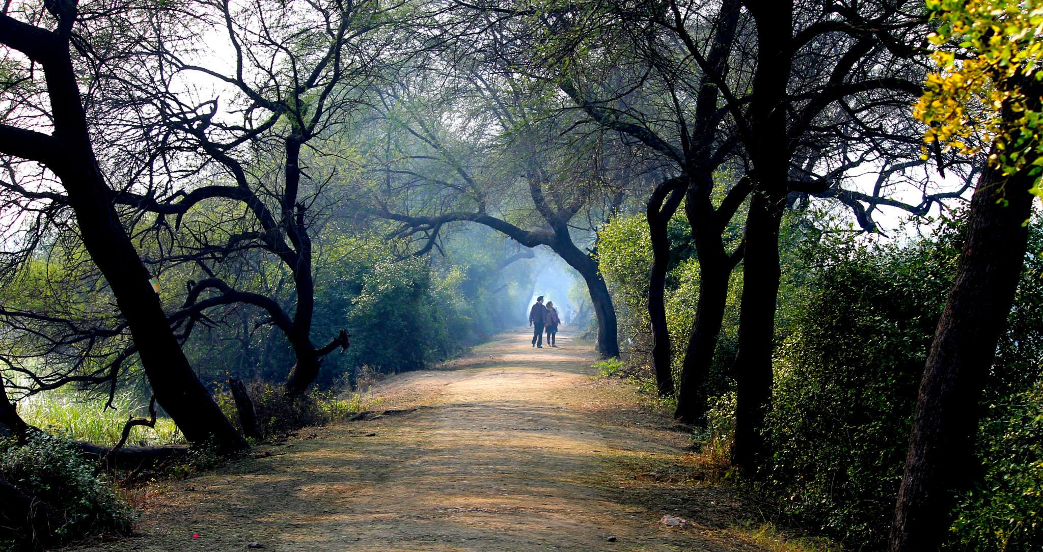 Picnic Spots Near Delhi, Keoladeo National Park