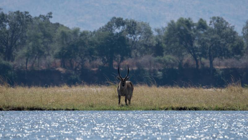 Damdama Lake - Picnic Spots Near Delhi