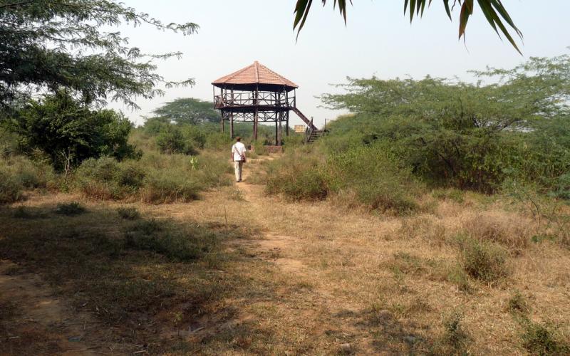 Asola Bhatti Wildlife Sanctuary - Picnic Spots around Delhi