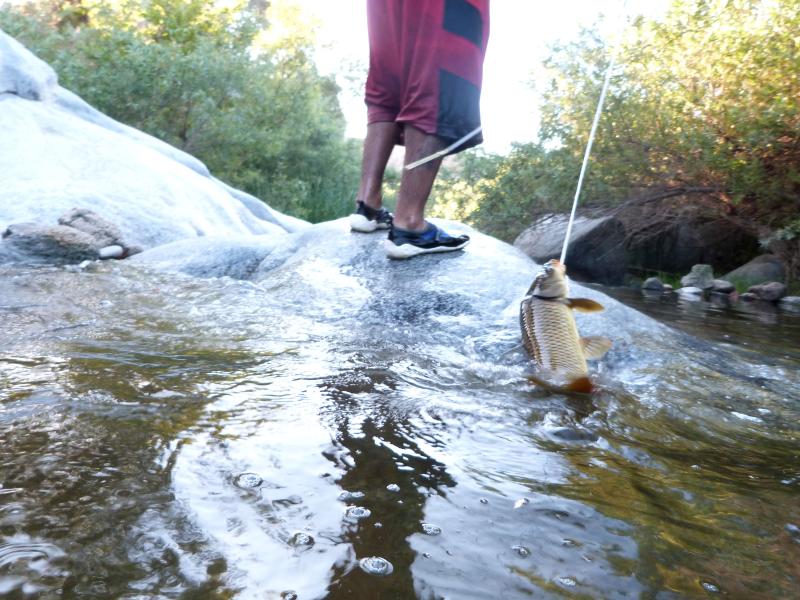 Himachal Pradesh - Places For Fishing In India