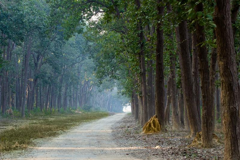 Jim Corbett Uttarakhand