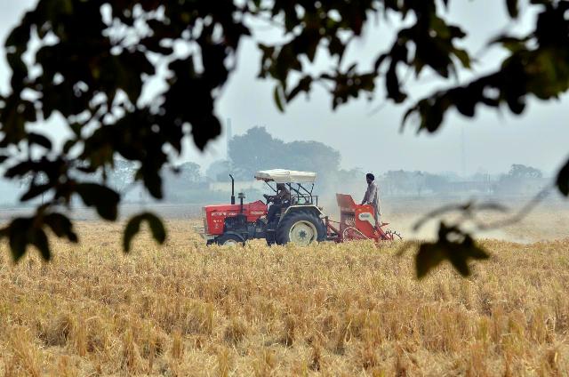 Punjab!