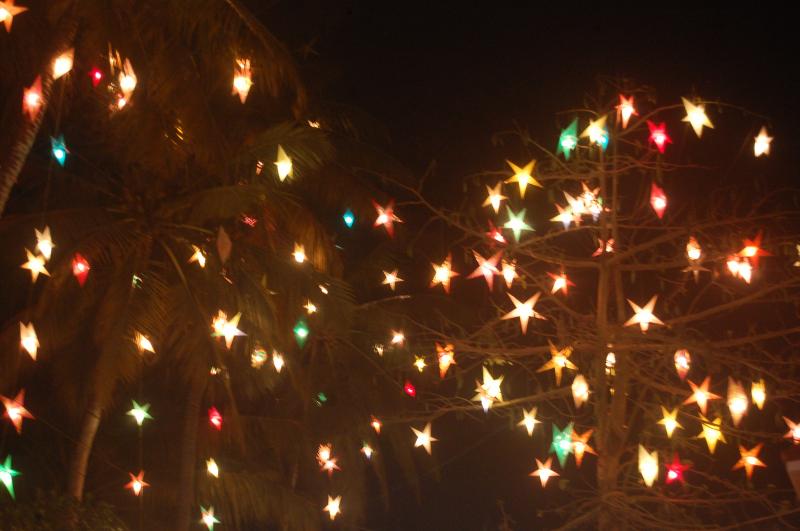 Christmas in Kerala_Festivals of Kerala