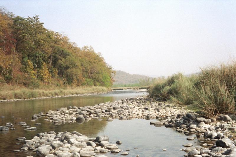 Jim Corbett - Places For Fishing In India