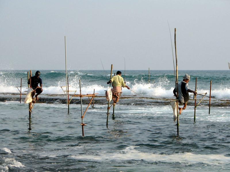 We Bet You Didn't Know These 10 Fishing Destinations Of India ! Holidify