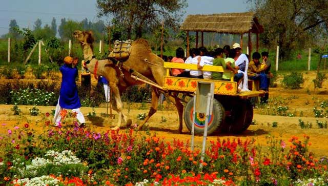 Pratapgarh Farm, Picnic Spots Near Delhi