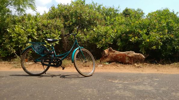 Auroville Bike rides