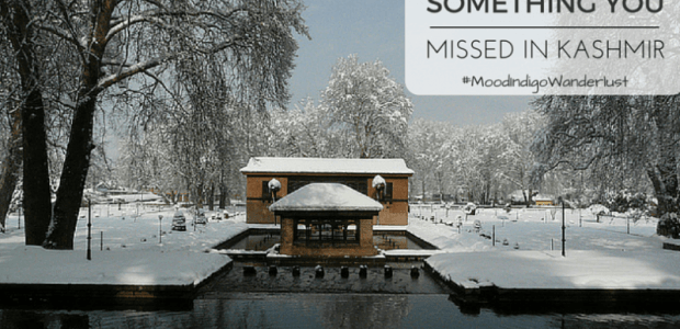 Something You Missed in Kashmir | #MI'15-Wanderlust