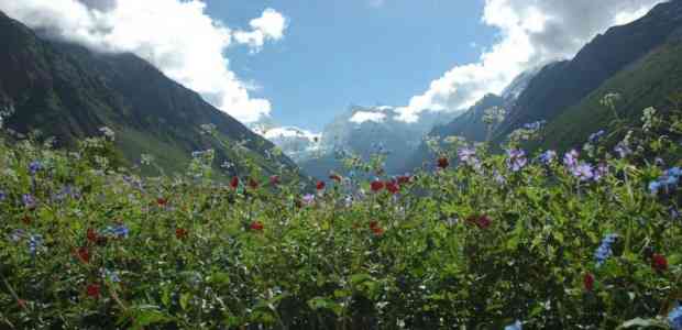 20 Natural Wonders In India That Are Incredible!