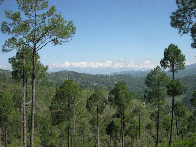 Almora