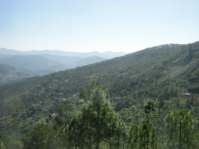 Almora