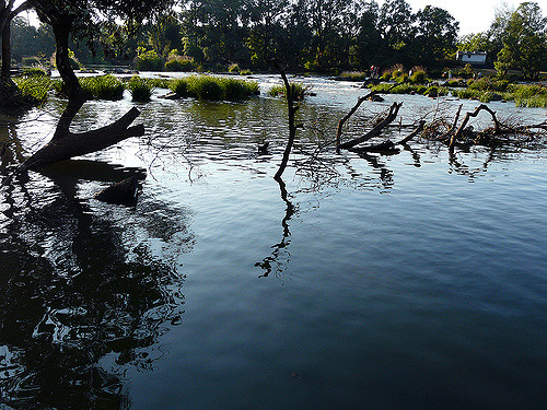 Coorg
