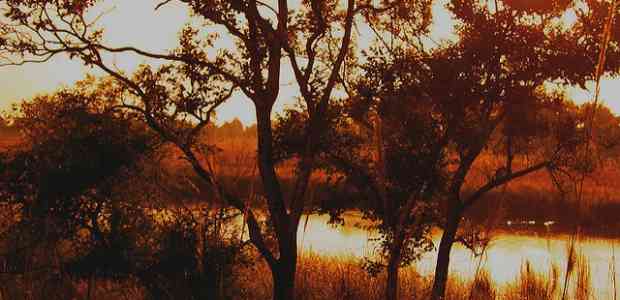 14 Weekend Getaways from Lucknow 