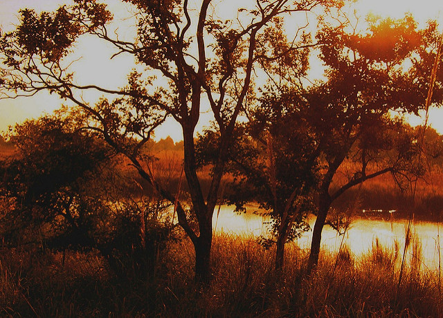 Dudhwa National Park
