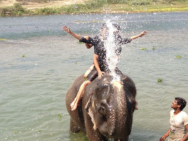 Elephant Bath