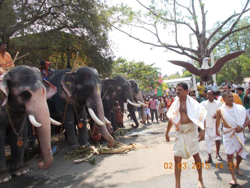 Guruvayur Temple Anayottam