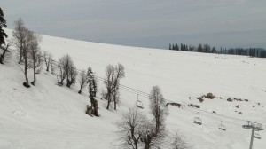Kashmir- Gulmarg Valley, Things to do in Kashmir