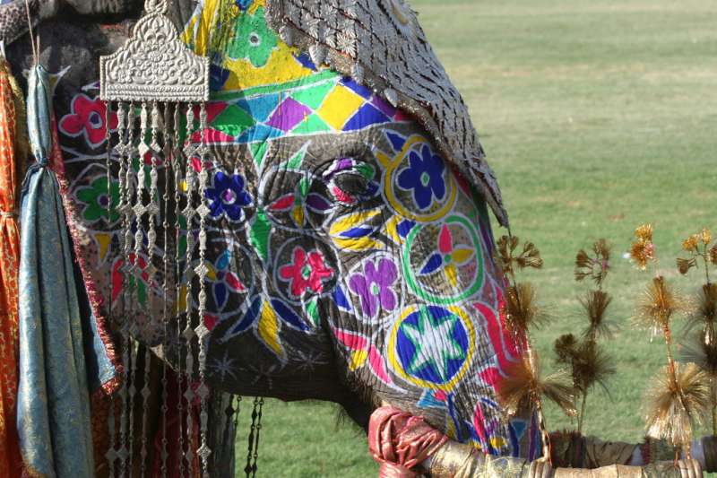 Jaipur elephant festival