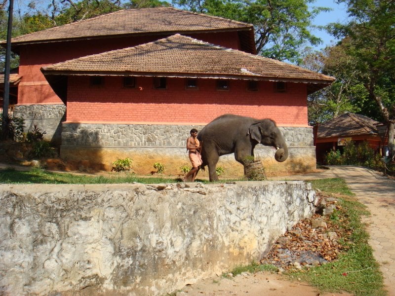 Konni Elephant Camp