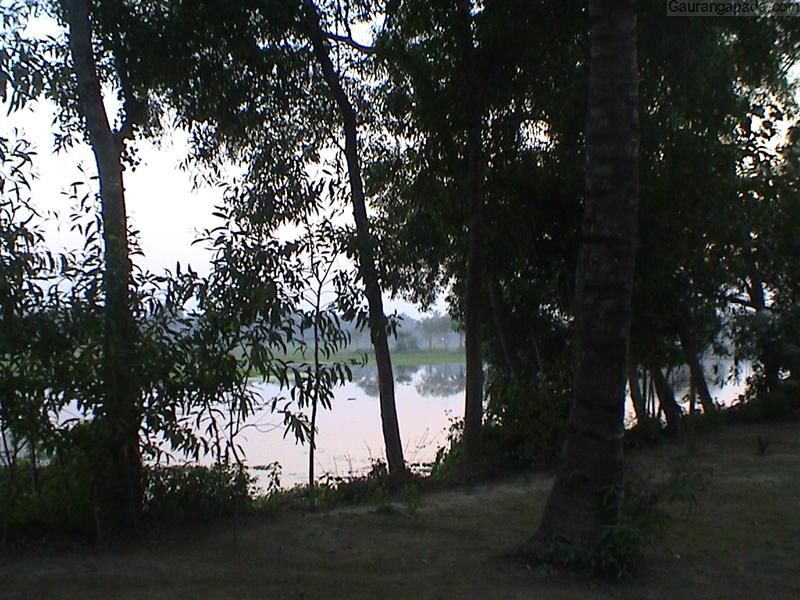 Naimisharanya