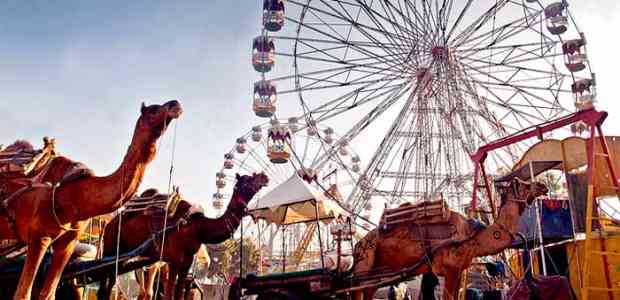 17 Festivals of Rajasthan You Simply Cannot Miss!