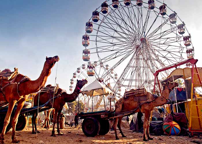 Pushkar Fair 