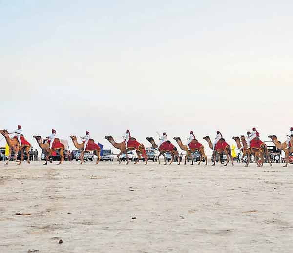 Rann of Kutch