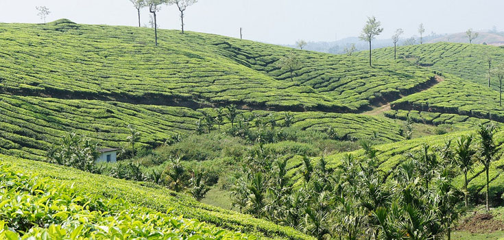 Thekkady