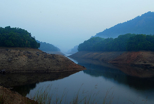 Wayanad