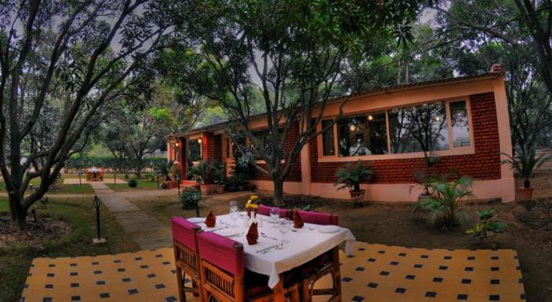 Baghaan orchard retreat