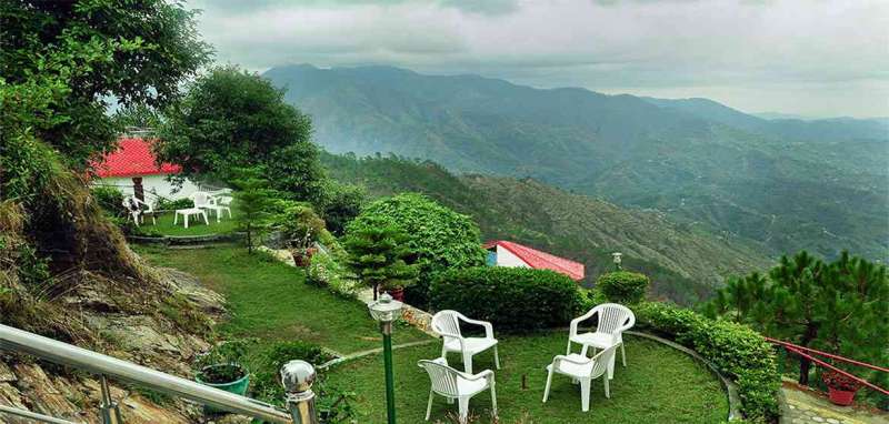 Blue Pine Resort