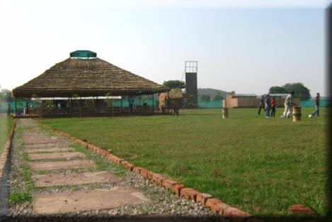 Mustang camp