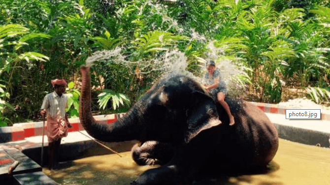 20 Wildlife Sanctuaries in Kerala for Wildlife Lovers (2023 ) 20 Wildlife Sanctuaries in Kerala for Wildlife Lovers (2023 )