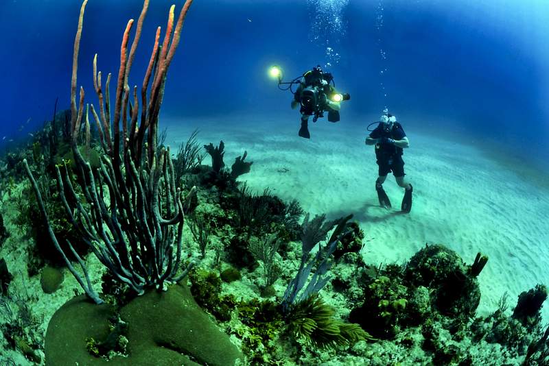 Underwater, best Places to propose