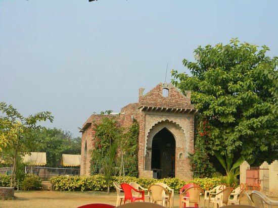 Pratapgarh farms