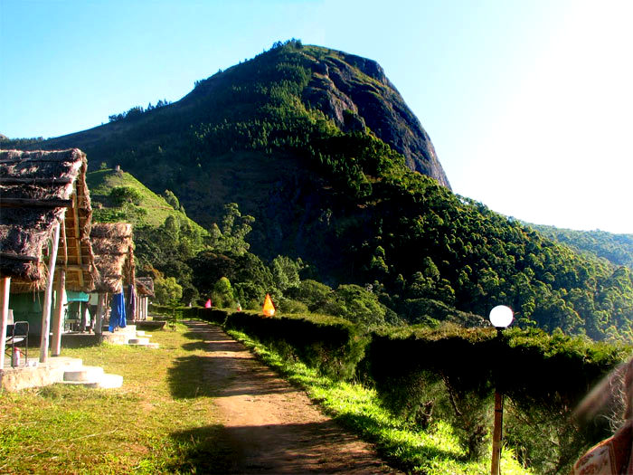Anaerangal Camp – Munnar_Holidify