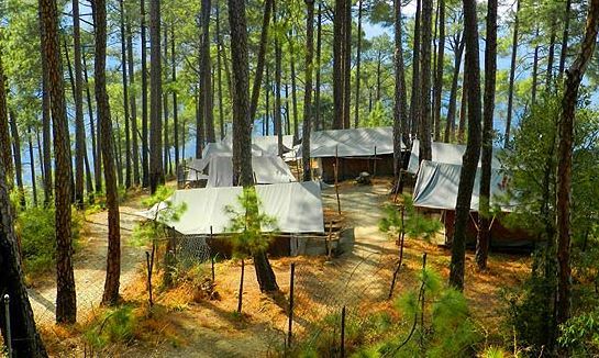 Camp Potter’s Hill – Shimla_Holidify
