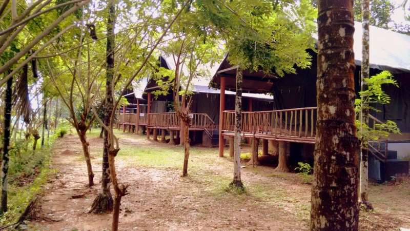 Hornbill Camp – Thekkady_Holidify