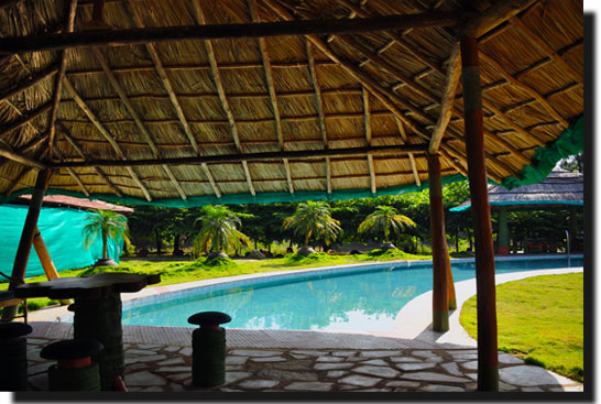 Mango Mist Resort_Holidify