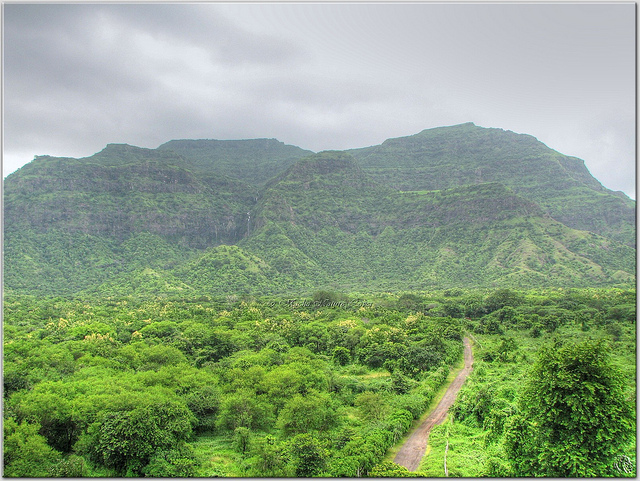 Pavagadh_Holidify