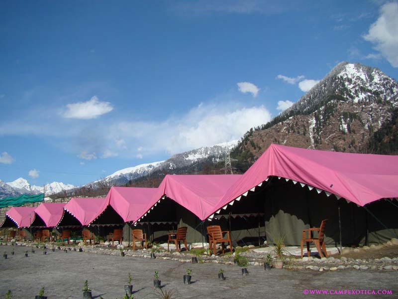SourceCamp Exotica – Kullu_Holidify