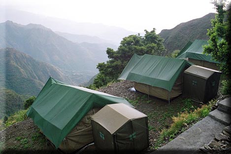 Camp Room on the Roof - Dehradun_Holidify