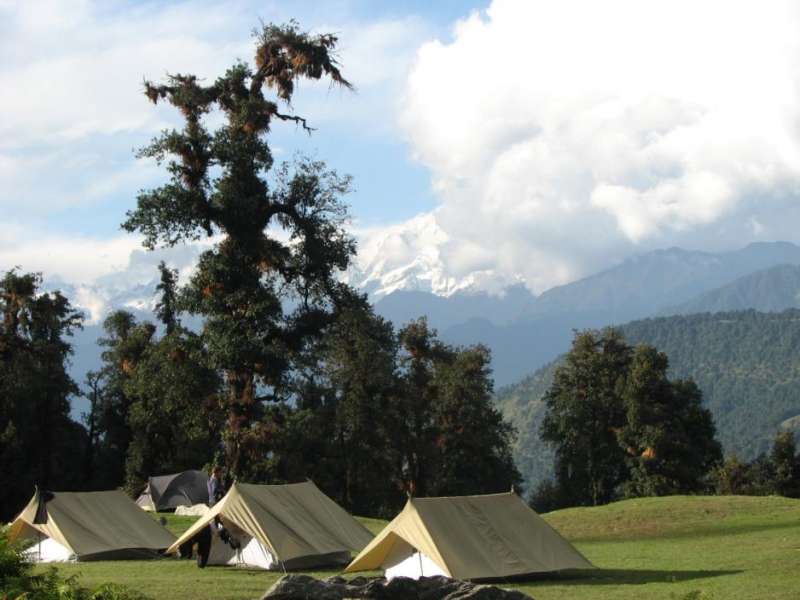 Magpie Camp – Chopta_Holidify