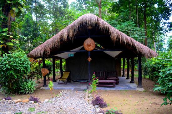 Nameri Eco Camp – Assam_Holidify