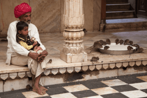 Karni Mata Temple