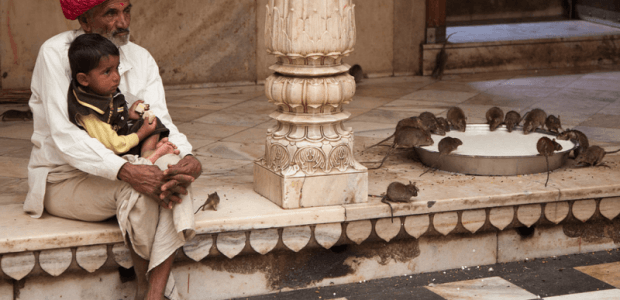 10 Unusual Places in India - It Happens Only in India